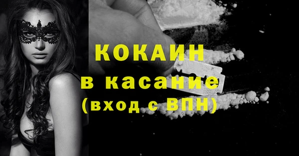 гашик Пестово