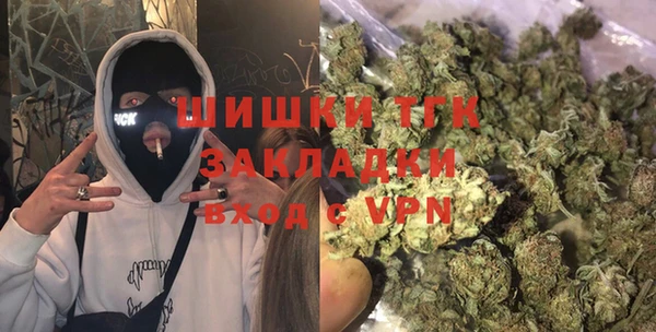 мдпв Магас