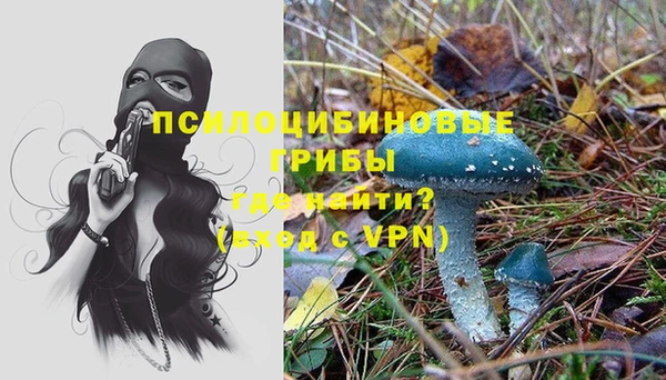 альфа пвп Медвежьегорск