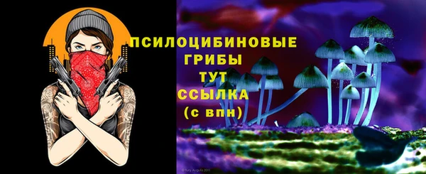 метадон Медногорск